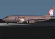 FS2002 B737-400 Air Europa - and new colors- image 1