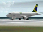 FS2002 BR Airbus A319-112 image 1