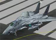FS2002 Aircraft - Grumman F-14A Tomcat Fighting image 1