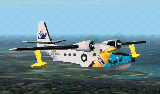 Hu-16 Albatross Tropical Delight image 1