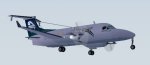 FS2002 Air New Zealand Link Eagle Air image 1