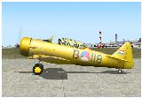 Fs2002/Fs2004 Noorduyn At-16Nd Harvard Mk.ii, Royal Dutch Air Force Historical Flight, Gil