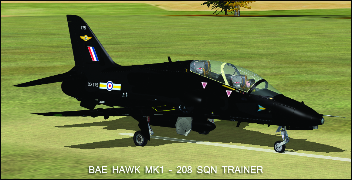 Here Is Repainted Textures For The Sky Sim Hawk Mk1 - Front Seat Only — 1