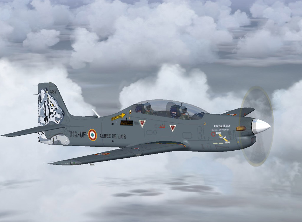 Fs2004/Fsx Emb 312F French Af N°487 Dec — 1