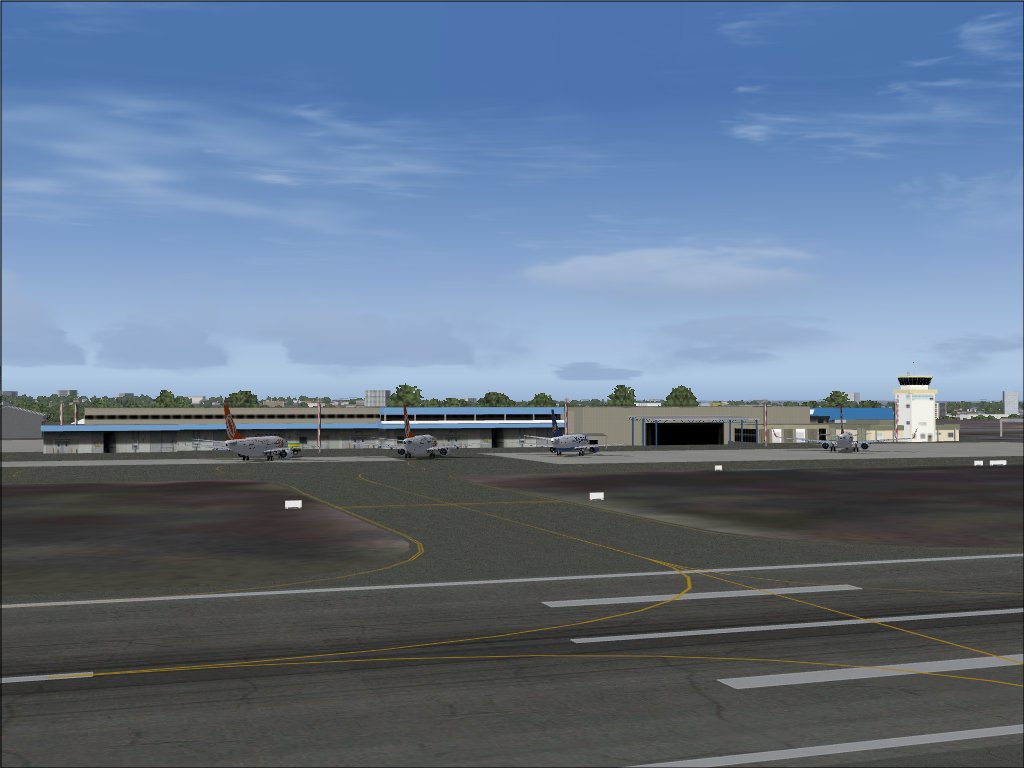 Scenery Of The Afonso Pena Intl