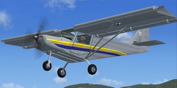 Fsx - I.c.p