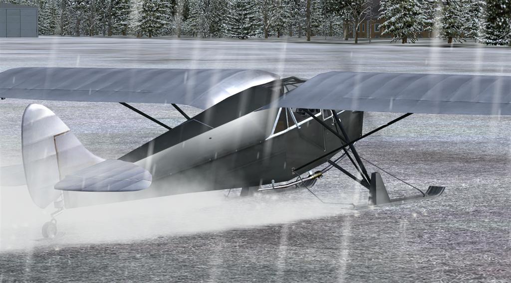 De Havilland Dh-80A Puss Moth Ski For Flight Simulator X — 1
