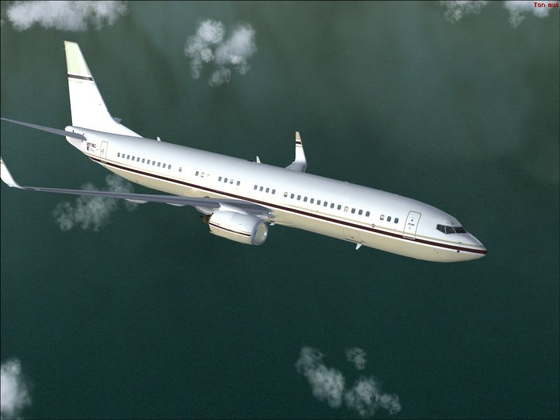Pmdg Boeing 737 Repaint — 1