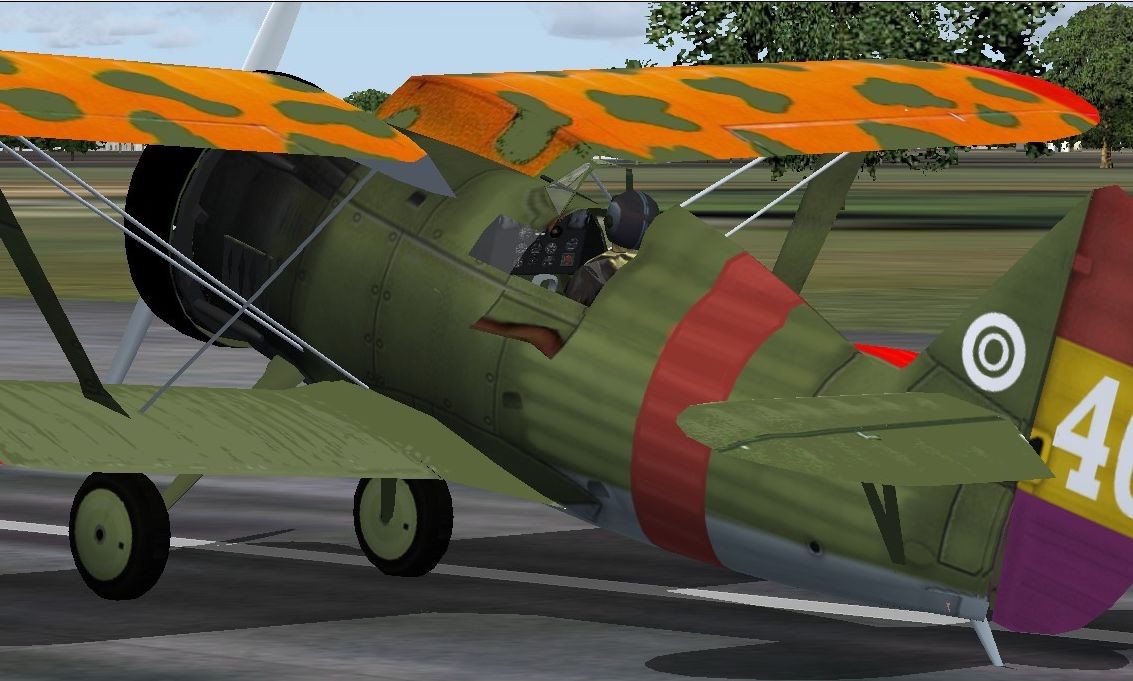 Fs2004/Fsx Polikarpov I-15 Warbird — 1