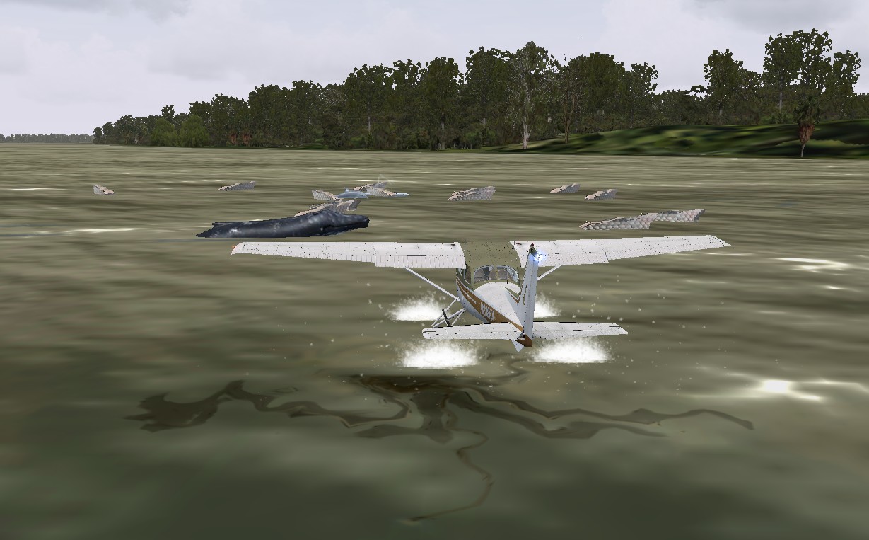 The Arapaima Expedition — 1