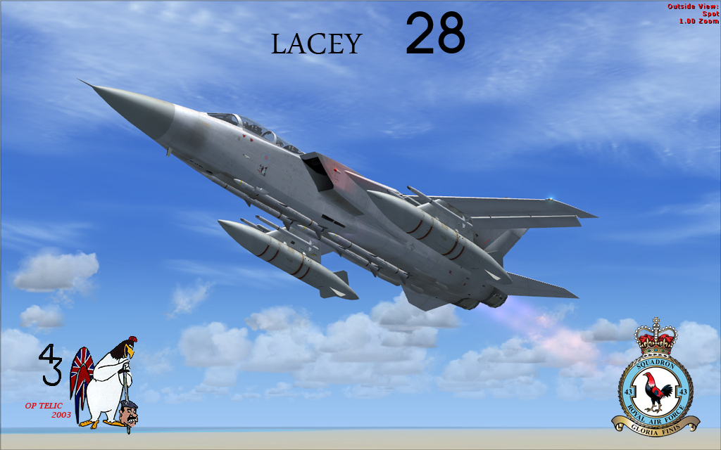 Alphasim Tornado F3 Fsx Repaint — 1