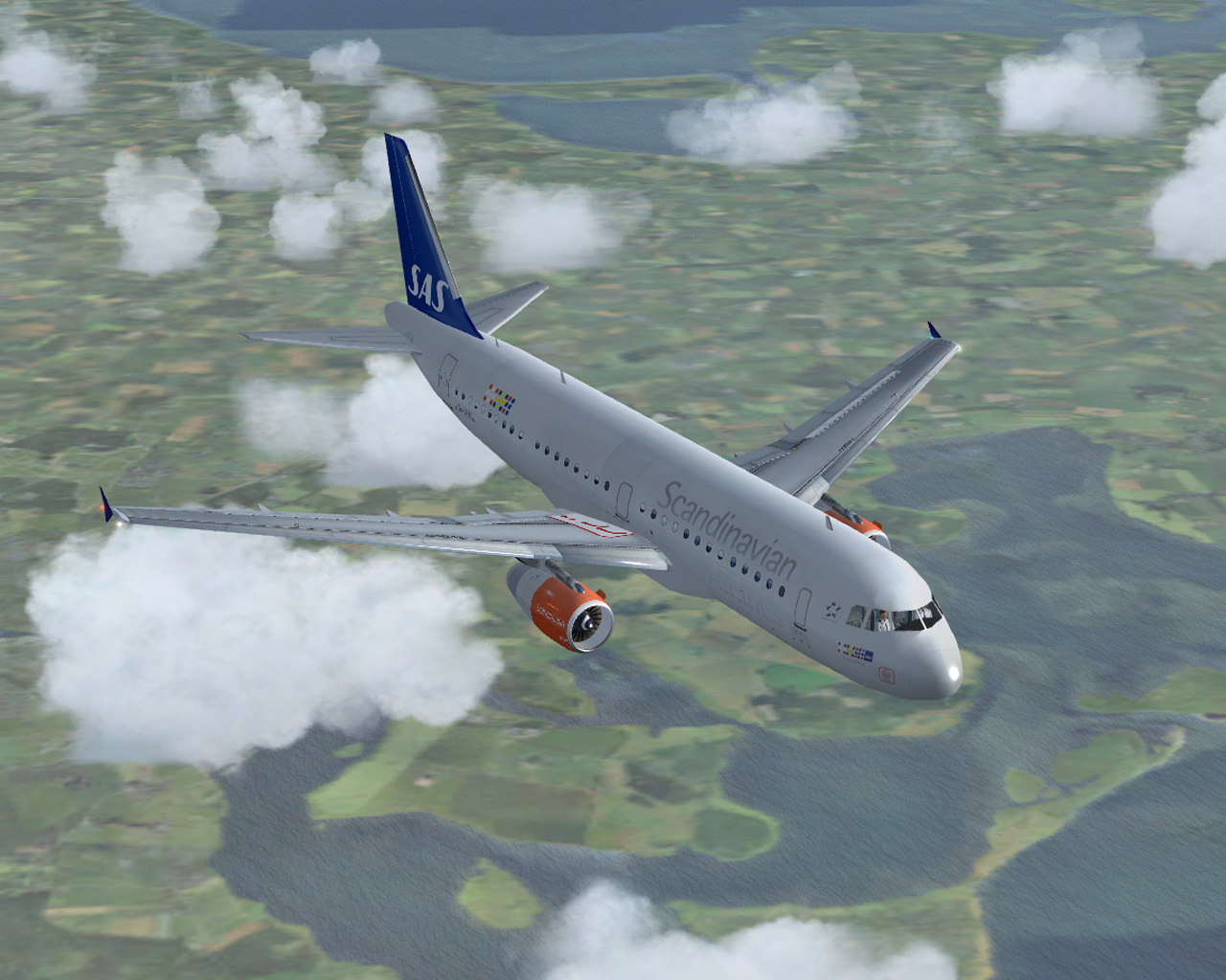 Fsx Sas Airbus A319 — 1