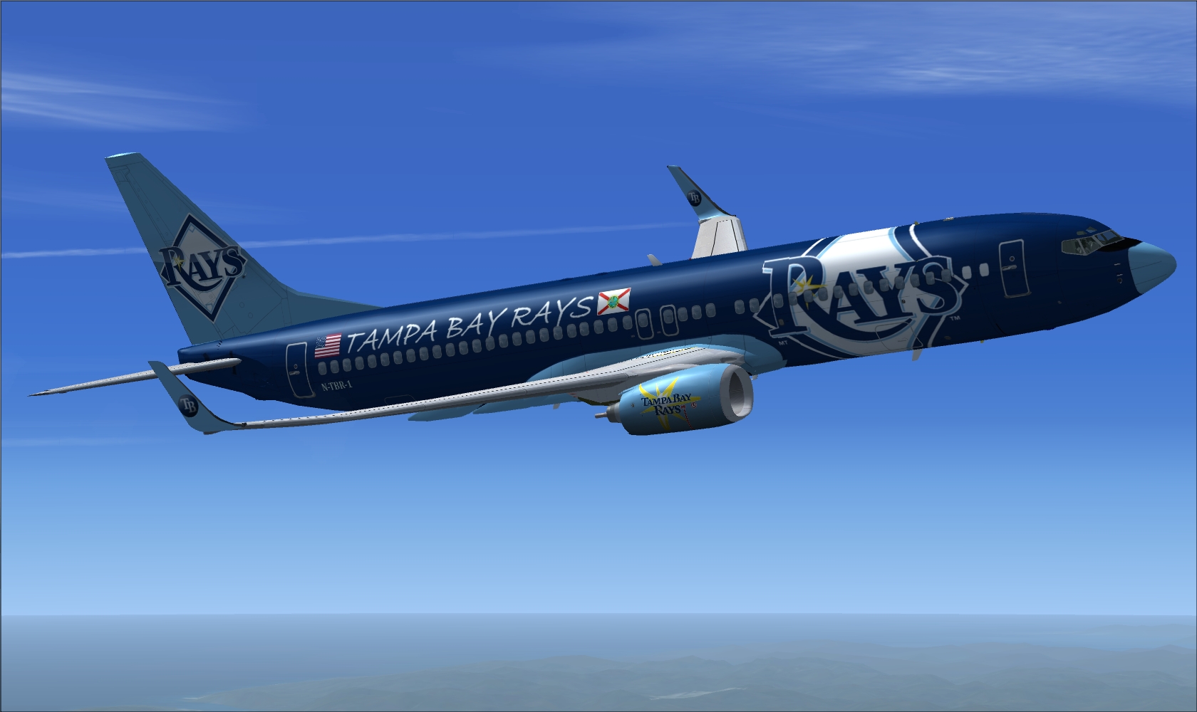 Tampa Bay Rays Boeing 737-800 — 1