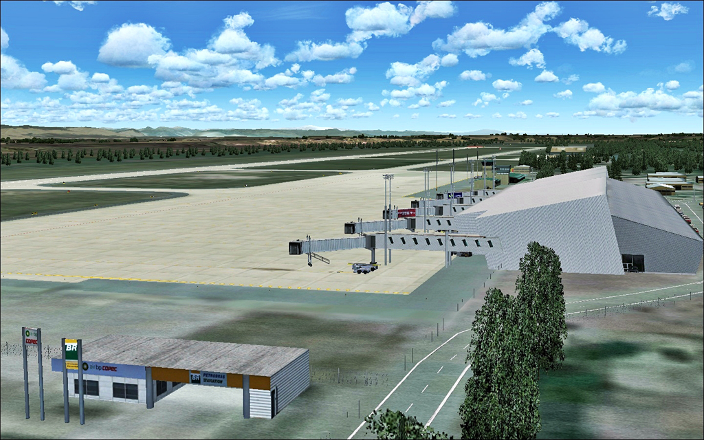 Fs2004 Aeropuerto Intl El Tepual Scte 2010 — 1