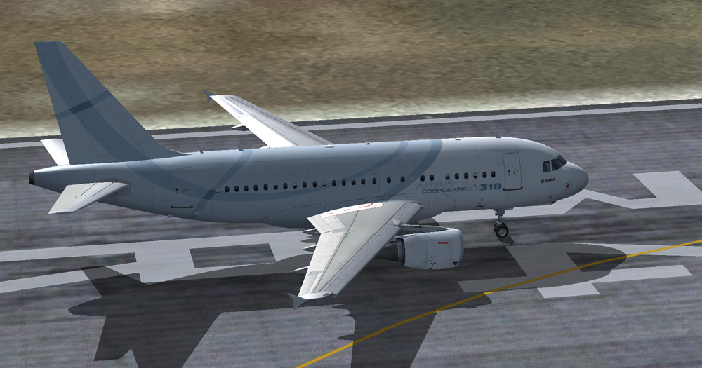 Airbus Corporate Jet 318 — 1