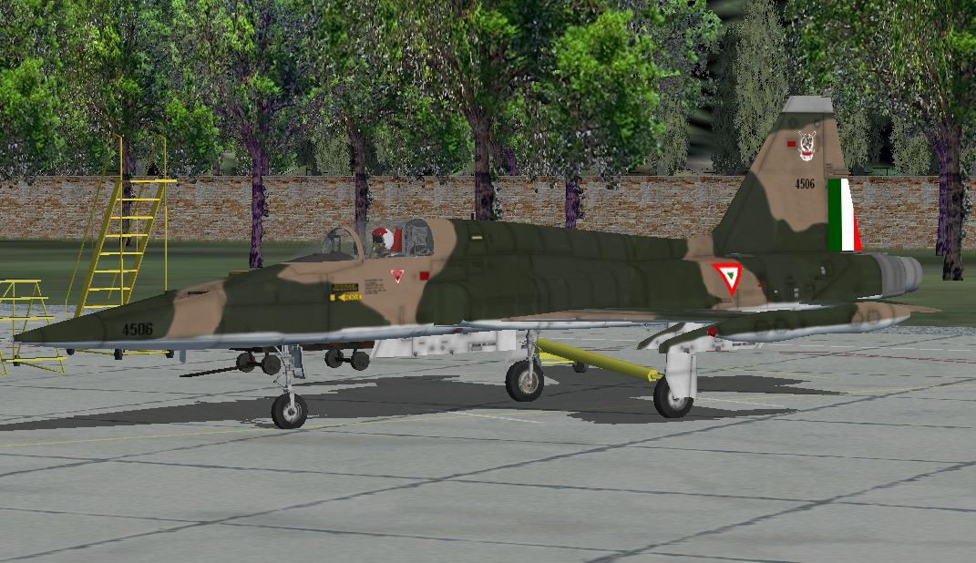 Fam F-5A Tiger Ii Fuerza Aerea Mexicana — 1