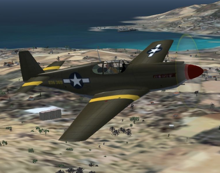 Fsx/Fs2004 Mustang P-51A — 1