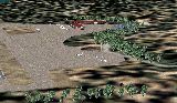 Fs2004 Scenery-Catalina Airport (Kavx) Serves Avalon And Los Angeles County And Is Owned B — 1