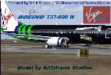 Thank You For Downloading My Brand New Virgin Blue Boeing 737-800W In Special Gillette Log — 1