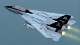 Fs2004 Grumman F-14B Tomcat — 1