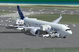 Fsx Airbus A350-800 Airbus House Colors, Including Animated Ground Servicing (Ags) — 1