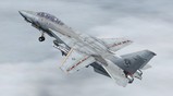 Fsx Acceleration Grumman F-14D Tomcat — 1