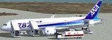 Fs2004 Camsim Boeing787-881 Ana Ja803A — 1