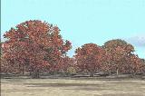 Replacement Autogen Vegetation Textures Modified From Microsofts Autogen Sdk Fs2002 Scener — 1