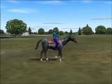 Fs2004 Rideable Black Stallion Features- 3 Animated Speeds Riders Head Turns Horses Head T — 1