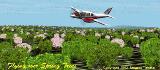 Fs2002 Scenery Upgrading Texture Spring Trees Fs2002 Scenery Upgrading Texture Spring Tree — 1