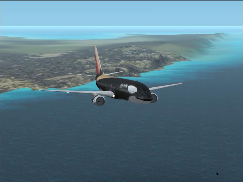 Orca Flying?