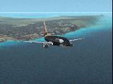 Orca Flying?
