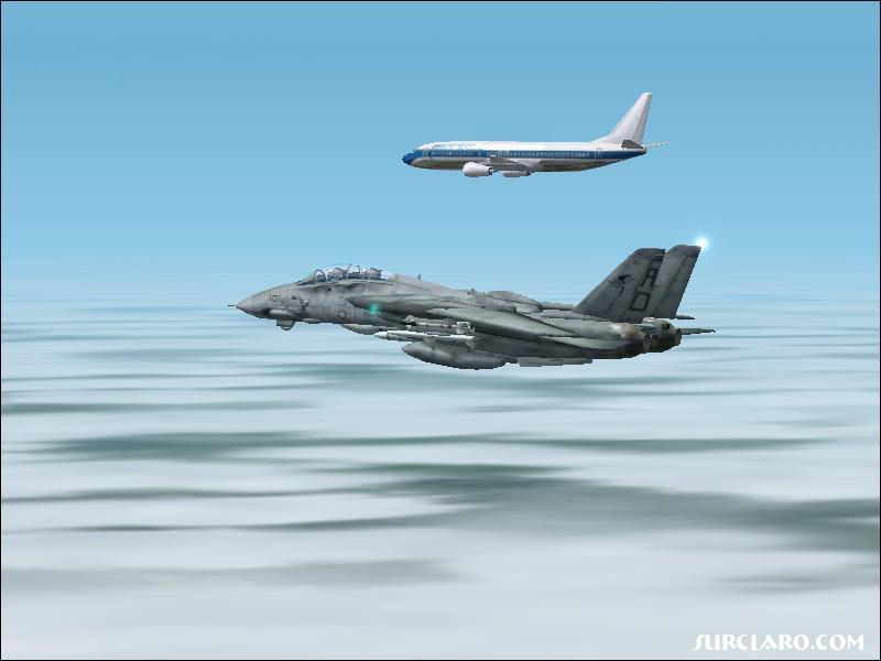 escort