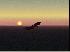 Sunset At Antartica.