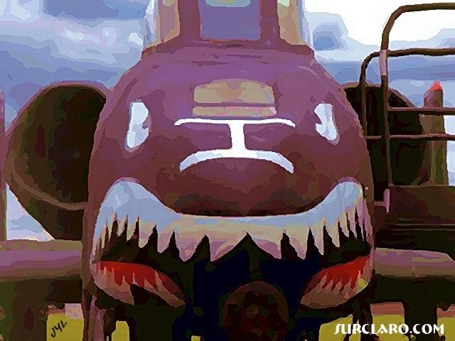 Shark !