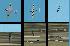 bf109crash