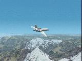 falcon50