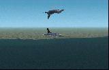 F16 Stunt