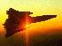 Sunset Blackbird