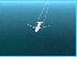 767 Over Open Water Nice Contrails!!!