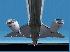 Elongated American Airlines