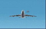 Wing Inspection