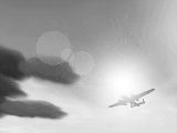 B-25