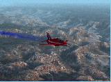 Hawk over Grand Canyone