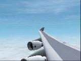 747-400 wing view.
