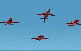 Red Arrows Leader