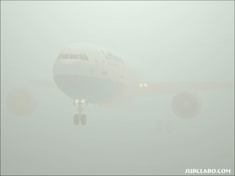 LH 1