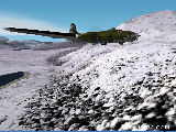 B-17
