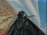 f16pilot