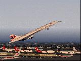 Farewell